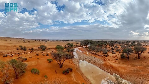"الغطاء النباتي" يدعو المستثمرين لإبداء رغباتهم في الاستثمار بـ13 متنزهًا وطنيًا في حائل