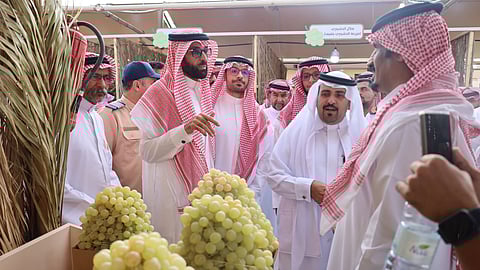 أكثر من 7 آلاف زائر.. اختتام مهرجان العنب والرمان بالطائف