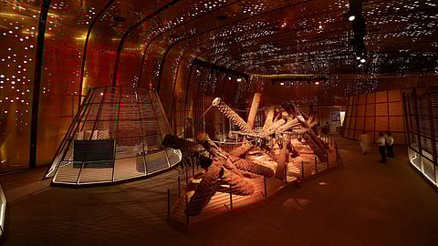 إثراء يطلق معرض "الباسقات" بمشاركة 25 فنانًا عالميًا يحتفون بالنخلة رمزًا للذاكرة والتراث