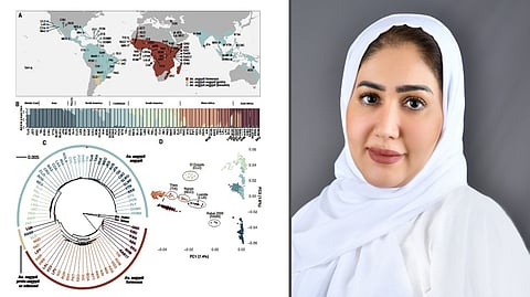 باحثة من جامعة جازان تكشف أصول انتشار البعوض الناقل لحمّى الضنك