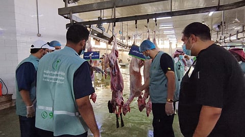 "بيئة جدة" تكثّف جولاتها الرقابية على مسلخ جدة الرئيسي