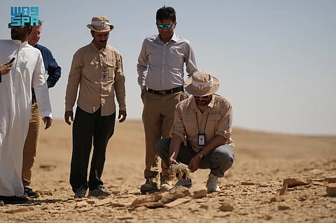 إطلاق كائنات فطرية في محمية الوعول عقب نقلها من منطقة مشروع مدينة القدية
