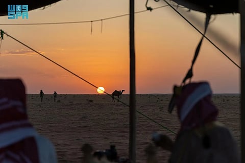 "المِنيحة".. إرثٌ يُجسِّد الكرم والتكافل في الحدود الشمالية
