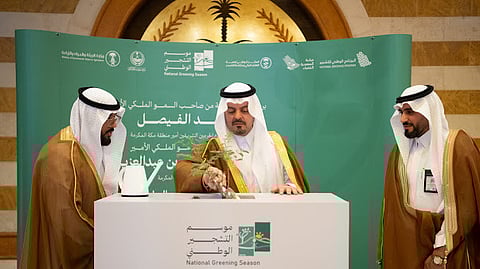 برعاية أمير مكة.. الأمير سعود بن مشعل يدشّن فعاليات موسم التشجير الوطني بزراعة شجرة الرَّنَف المحلية