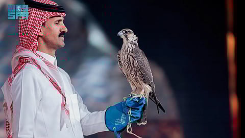 بيع صقرين بـ 236 ألف ريال في الليلة الـ 18 لمزاد نادي الصقور السعودي 2025