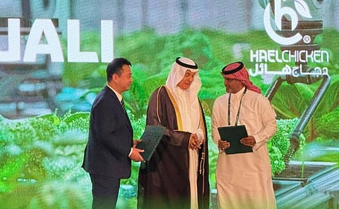 هائل للأغذية تستثمر أكثر من 100 مليون ريال لإطلاق مشروع دواجن ينتج 30 مليون طير سنويًا في حائل