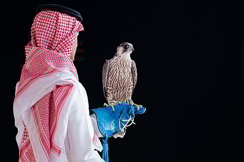 بعد تجربة مزاد 2023.. صقّار يكرر النجاح في مزاد نادي الصقور السعودي بصفقة (71) ألف ريال