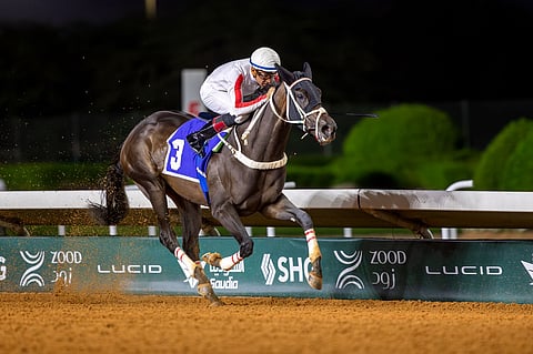 كؤوس إمارة منطقة الرياض ووزارة الدفاع والأمن العام في الأسبوع الرابع من موسم سباقات الرياض