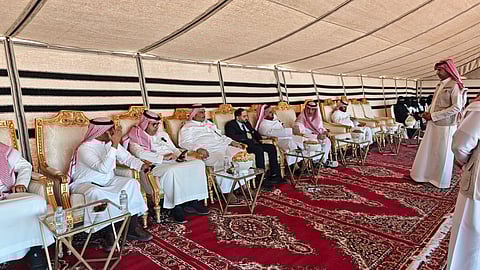 في شقراء.. انطلاق موسم التشجير برعاية المحافظ ومبادرة لتخليد أسماء الغارسين