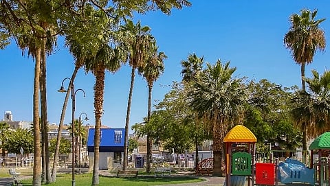 "أمين الطائف" يطلق مبادرة "حديقة الحي" لتعزيز الترابط الاجتماعي ودعم المواهب والأسر المنتجة