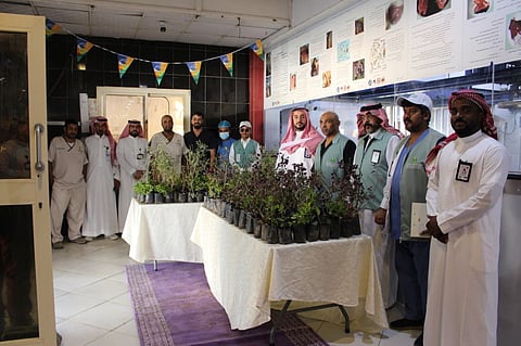 "بيئة جدة" تنفذ مبادرة لتوزيع الشتلات في سوق الأنعام المركزي بالخمرة