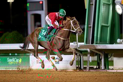 بميدان الملك عبدالعزيز.. أمير منطقة الرياض يرعى "بطولة الوفاء" على كأس الأمير محمد بن سعود الكبير في سباقات الخيل