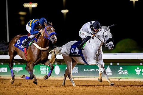 صراع الكبار في ميدان الملك عبدالعزيز.. نخبة الخيل العربية تتنافس على كأس رئيس دولة الإمارات