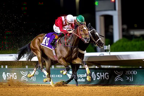 على ميدان نادي سباقات الخيل بالرياض.. "نجيب الزمان" يتوَّج بكأس رئيس دولة الإمارات