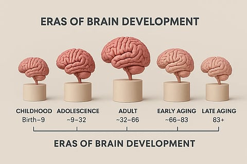 المراهقة تمتد حتى سن 32 عامًا.. دراسة: الدماغ يعيد تشكيل نفسه خلال أربع مراحل عمرية