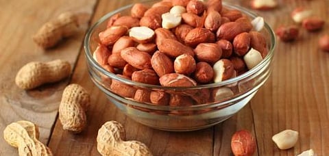 وجبة يومية من الفول السوداني تعزز الذاكرة وتدفق الدم للدماغ