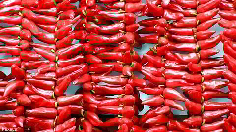 الفلفل الحار يحسن صحة القلب