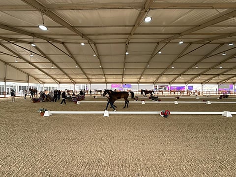 غدًا.. انطلاق "قفز السعودية" بمشاركة 173 فارسًا وفارسة