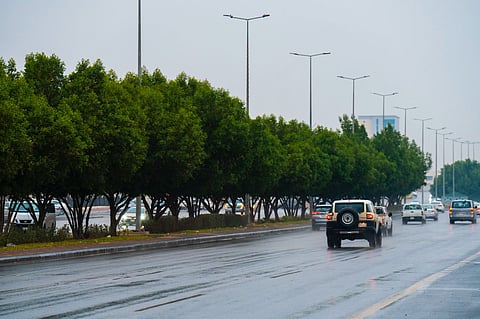 أول حالة مطرية في حفر الباطن.. والأمانة تفعّل خطتها الميدانية