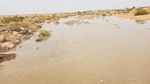 شاهد.. أمطار ديمية تُنعش أجواء شقراء وتُسعد الأهالي والمتنزهين