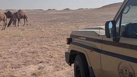 ضبط مخالفَين في محميتي طويق والملك عبدالعزيز وإيقاع غرامات بيئية تصل إلى 6,500 ريال