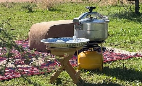 "أم الحمام" تتزين بالخُضرة والزهور بعد الأمطار وتتحول لوجهة طبيعية ساحرة