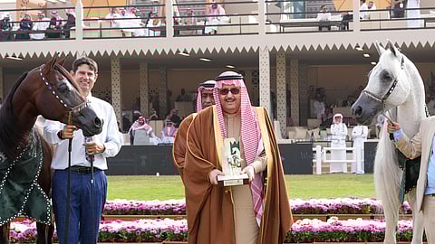 "مربط عذبه" يحصد الذهب والفضة والبرونز في ختام العرض الدولي الثامن للخيل العربية بالرياض