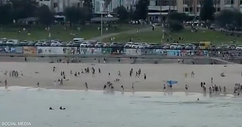 إطلاق نار كثيف في شاطئ أسترالي شهير يخلف إصابات