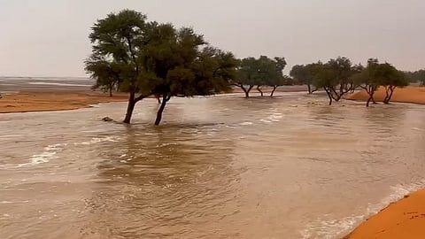 شاهد.. جريان وادي "الخويش" يرسم لوحة طبيعية شمال أشيقر