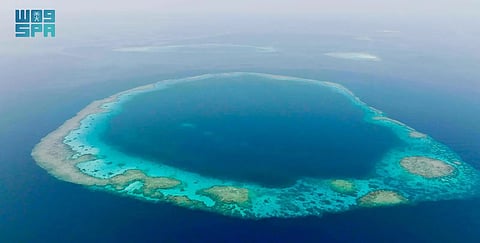 مركز الحياة الفطرية يطوّر منظومة التشغيل والحوكمة في محميتي الثقوب الزرقاء ورأس حاطبة