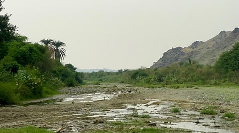 أجواء بني عيسى الشتوية تجذب المتنزهين من مختلف المناطق