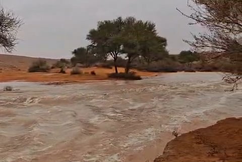 شاهد.. أمطار ديمية صباحية تُجري أودية حريملاء والغاط والزلفي والارطاوية