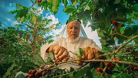 "السعودية للقهوة" تطلق النسخة الثالثة من مسابقة محصول التميز السعودي