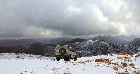 "المسند": "المربعانية" تُعلن ذروة الشتاء.. تكثف البخار وظهور الصقيع وبشائر الفقع مشروطة بالوسم