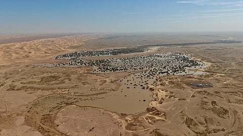 روضة أم الذيابة