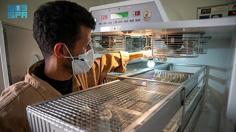 مركز الحياة الفطرية يرفع برامج الإكثار إلى 21 برنامجًا