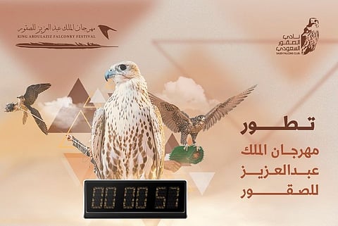 أكثر من 16 ألف صقر في 6 أعوام.. مهرجان الصقور يرسّخ مكانته