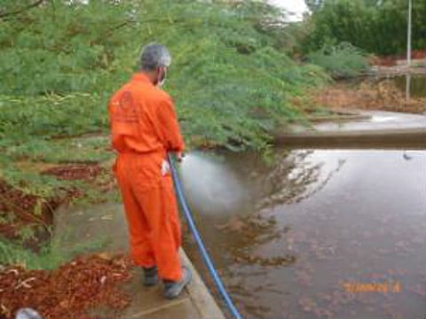 "أمانة جدة" تكثف مكافحة البعوض بعد الأمطار