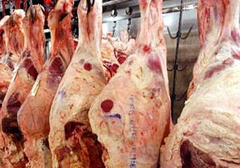 ضبط كميات كبيرة من اللحوم المخزنة بطريقة غير صحية بنجران