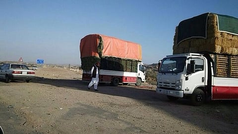 عمالة سائبة تسيطر على سوق أعلاف الطائف بالبيع المخالف