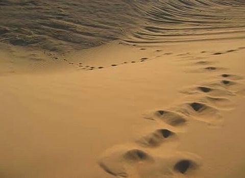 مواطن يبحث عن قريب وطفليه تغيّبوا منذ 74 عاماً