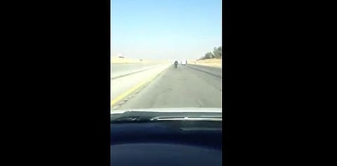 "جنون الشباب"..بالفيديو سائق يقود دراجته بسرعة 200 كم