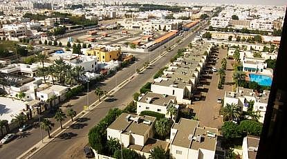 "أمانة جدة" توزع 25 ألف شتلة زراعية في أسبوع الشجرة.. غداً