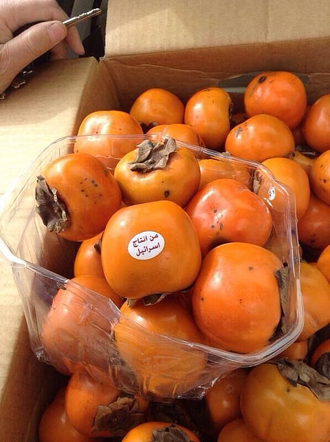 بلدية القريات تصادر "كاكا" إسرائيلية المصدر