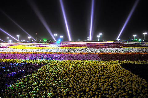 "مهرجان الزهور" بينبع الصناعية يختتم فعالياته بمليون زائر