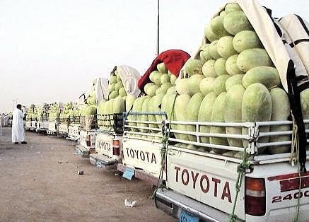 بلدية "وادي الدواسر" تطرح سوق الحبحب للاستئجار