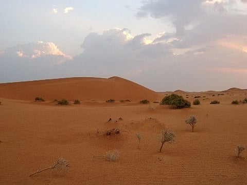 العثور على جثة مواطن بـ"نفود لايجة" بالجوف