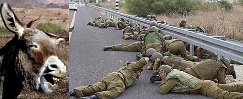 الجيش الإسرائيلي: تم استهدافنا بحمار مفخخ في غزة