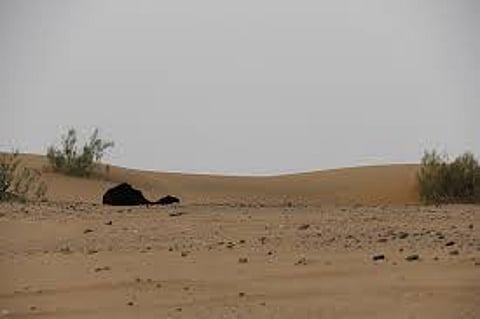 3 أشخاص يمنيين يجوبون بسيارة مسروقة في قرى "رنية"