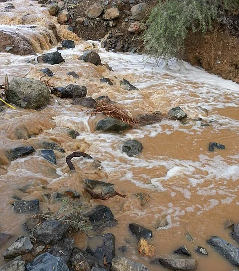 بالصور.. أمطار غزيرة على عجبة شمران ومتوسطة على بلقرن